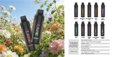 Lavie 10000 Puffs Vape de unică folosință cu ridicata