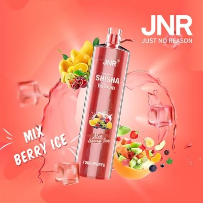 Jnr Shisha 12000 Puffs Vape de unică folosință En-gros